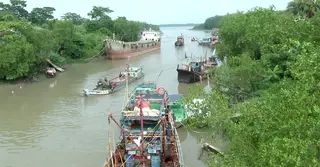 অবৈধ জাল-ট্রলিংয়ে কমছে ইলিশ; দুর্ভোগে বরগুনার জেলেরা